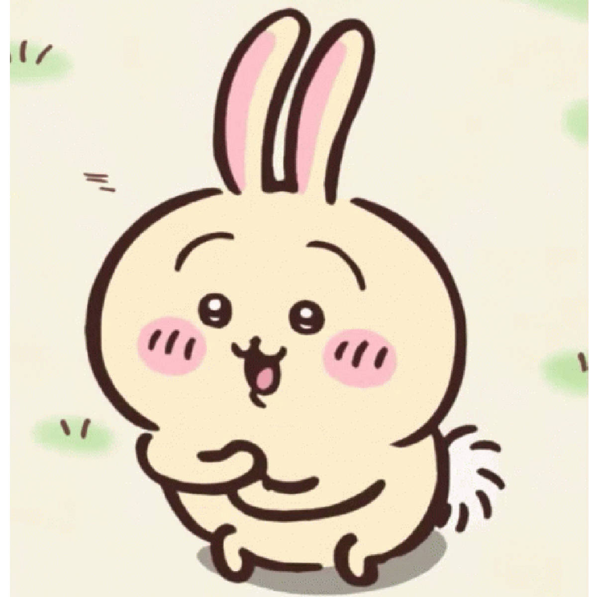 인터랙티브